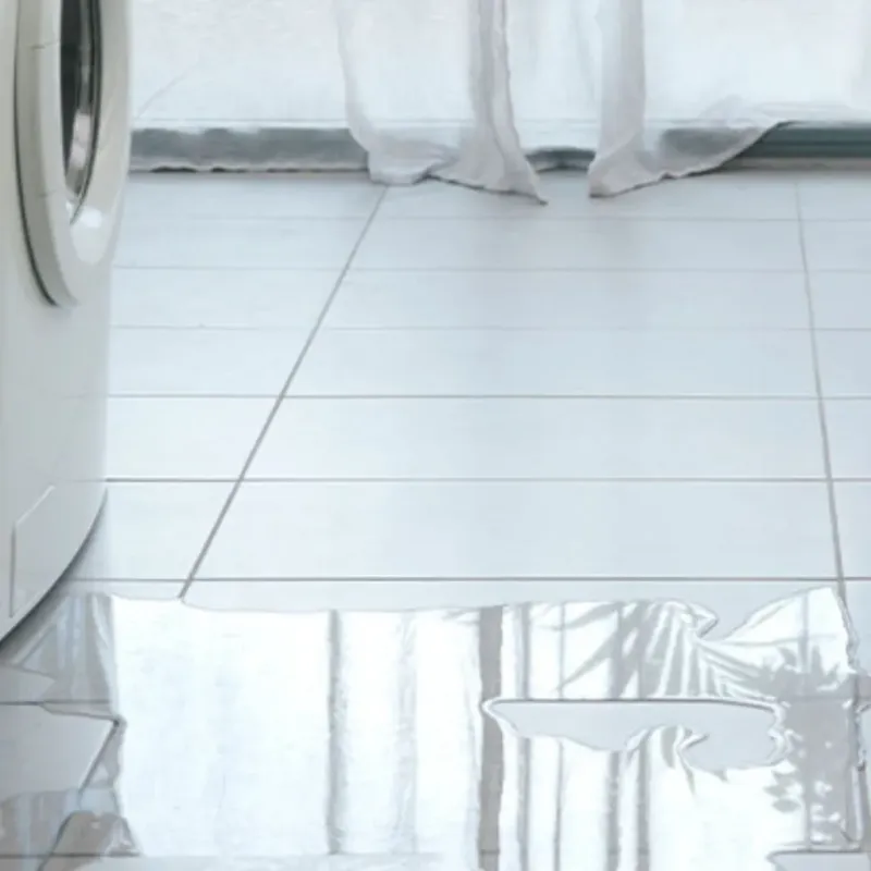 Appliance Leak Cleanup in Lexington, MN