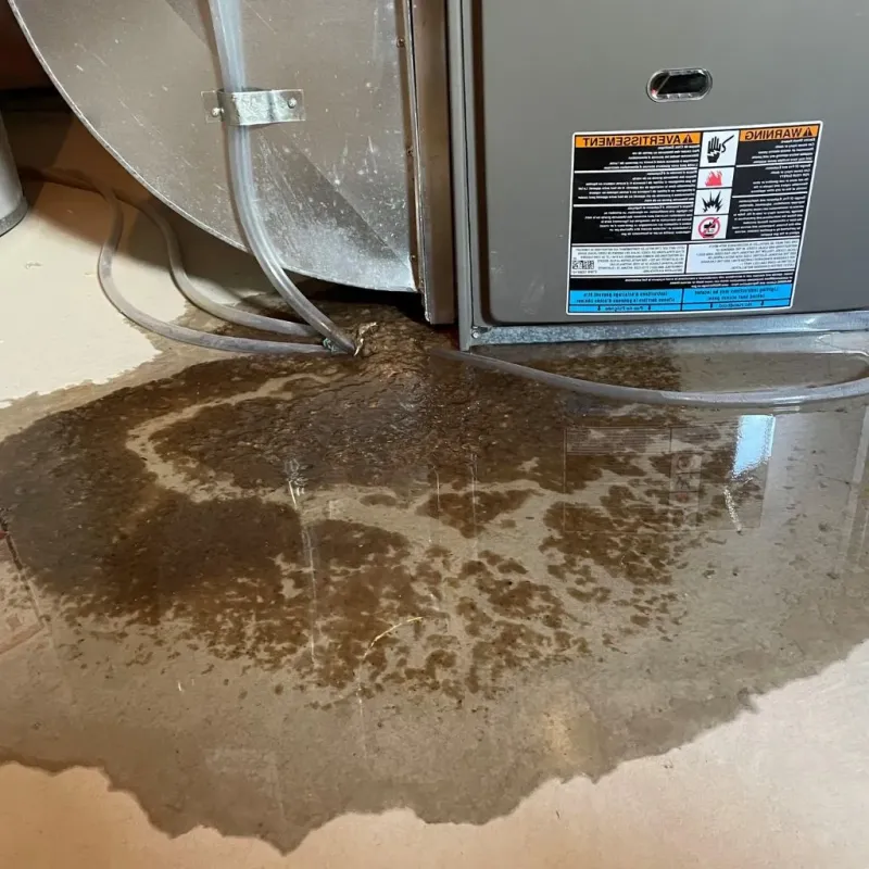 Pipe Burst and Leak Restoration in Lexington, MN