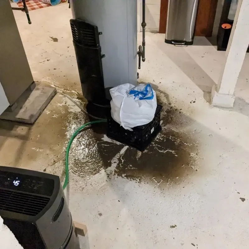 Sewage Backup Cleanup Service in Lexington, MN